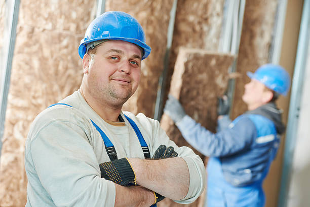 Best Attic Insulation Installation  in Briar, TX